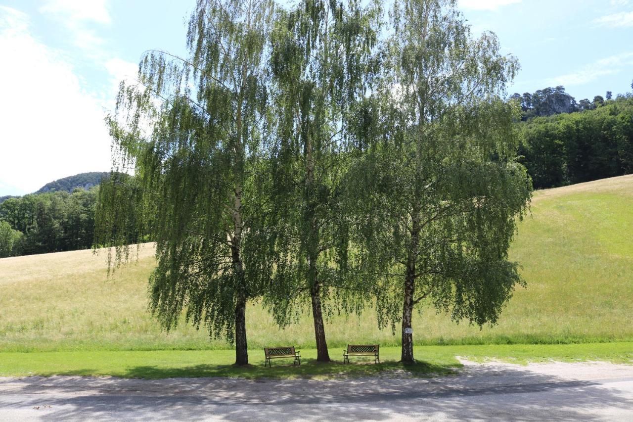 Apartment Ahorn Schrattenbach Zewnętrze zdjęcie